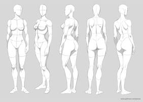 Basic anatomy - 60th pack