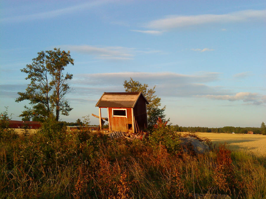 House on Pile