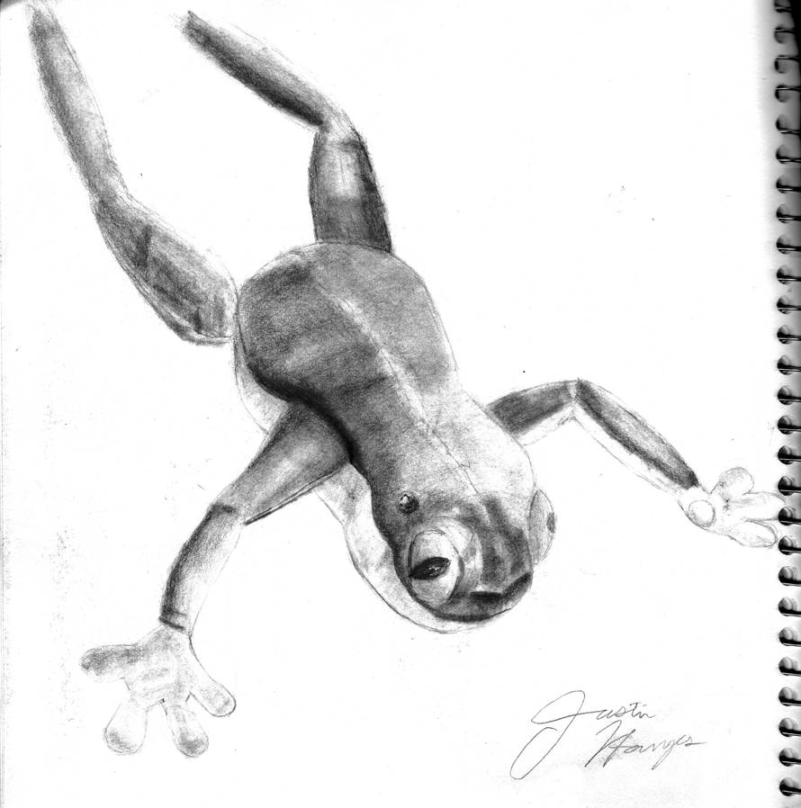 Stuffed Frog Legs by jjay55 on DeviantArt