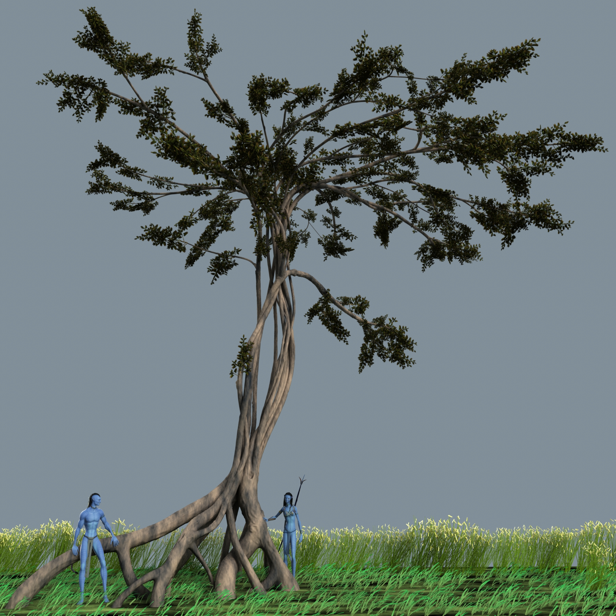 around the acacia tree