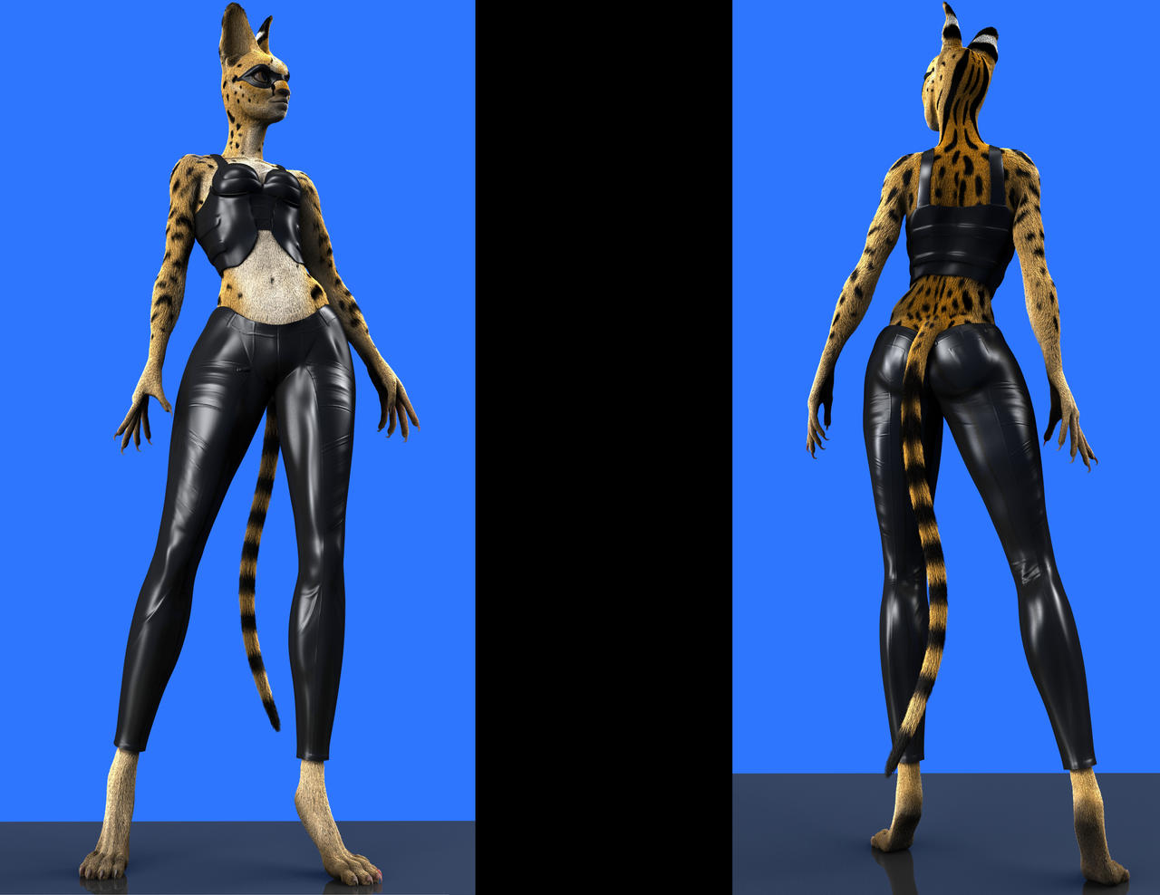 Catwoman updated