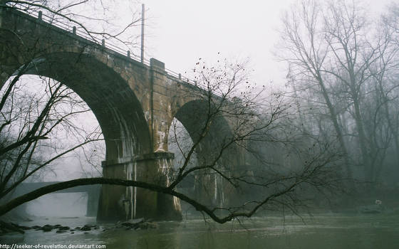 Railroad trestle in the mist