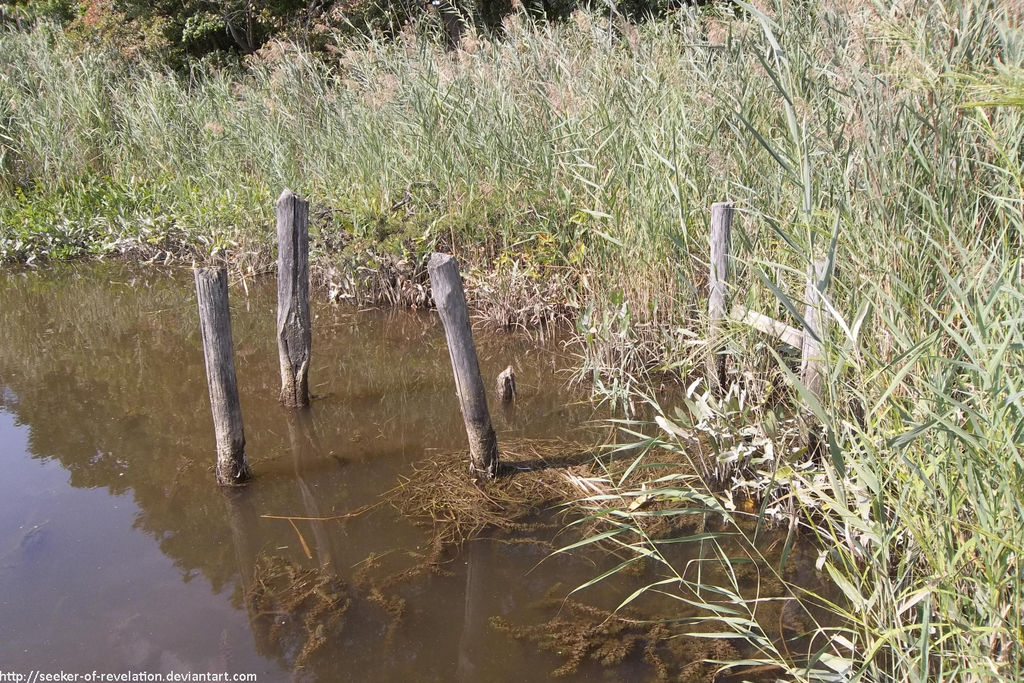 Dock posts