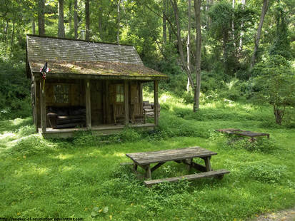 Forest retreat