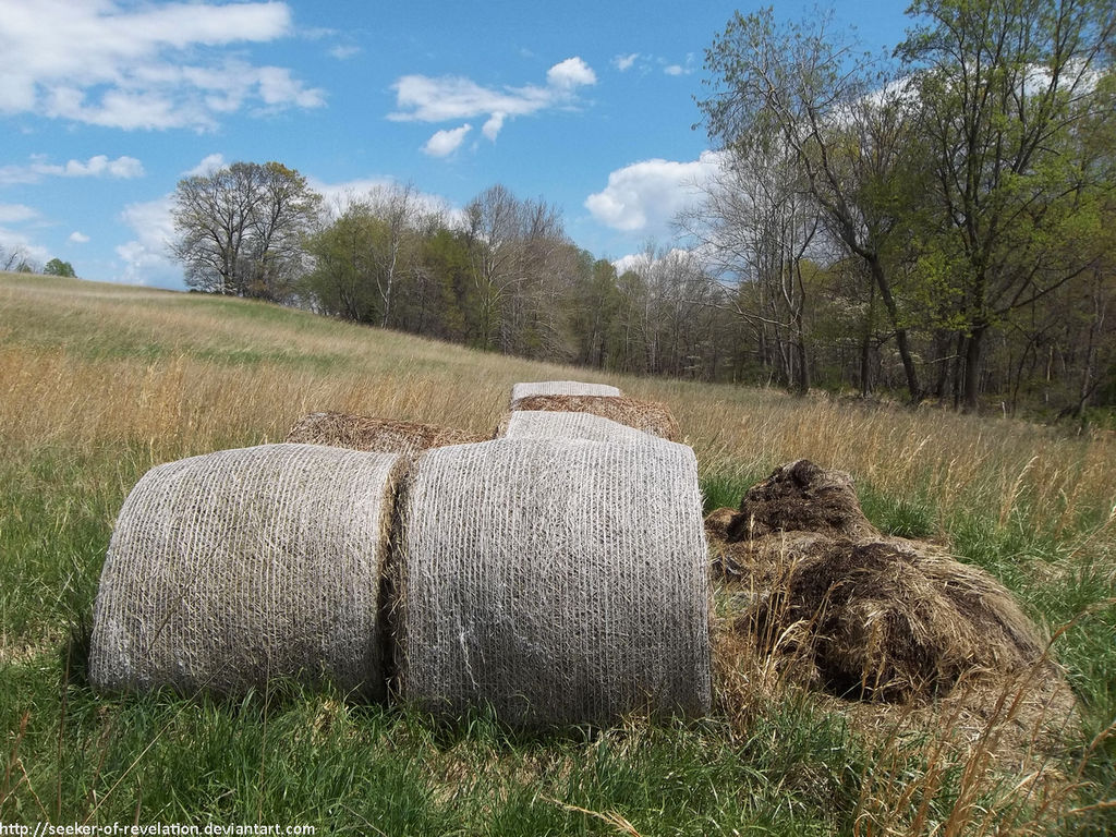 Hay bales by NickACJones