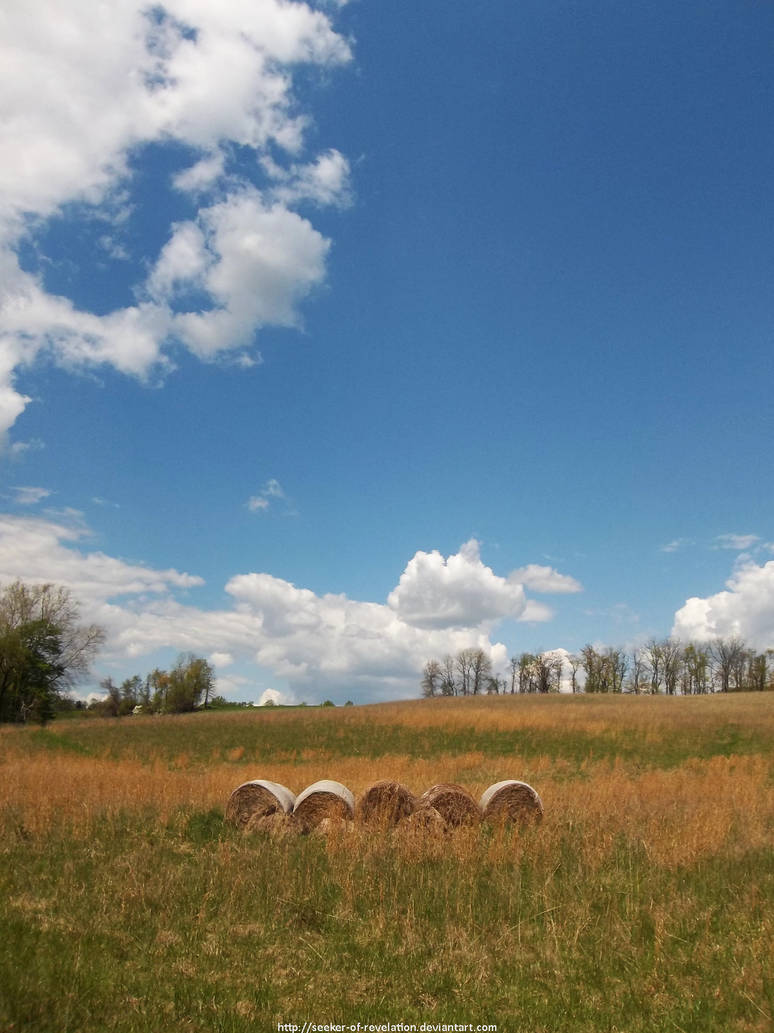 Abandoned field by NickACJones