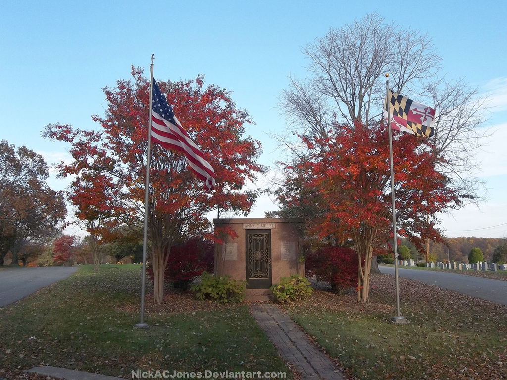 Parkwood in autumn by NickACJones