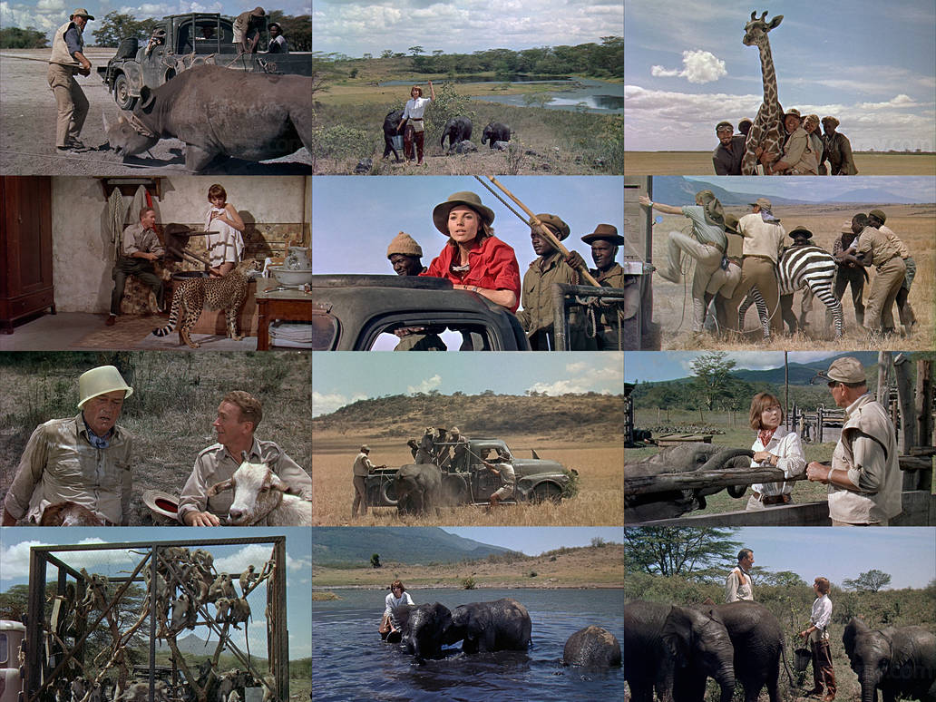 Hatari! Wallpaper by Gojirafan1994 on DeviantArt