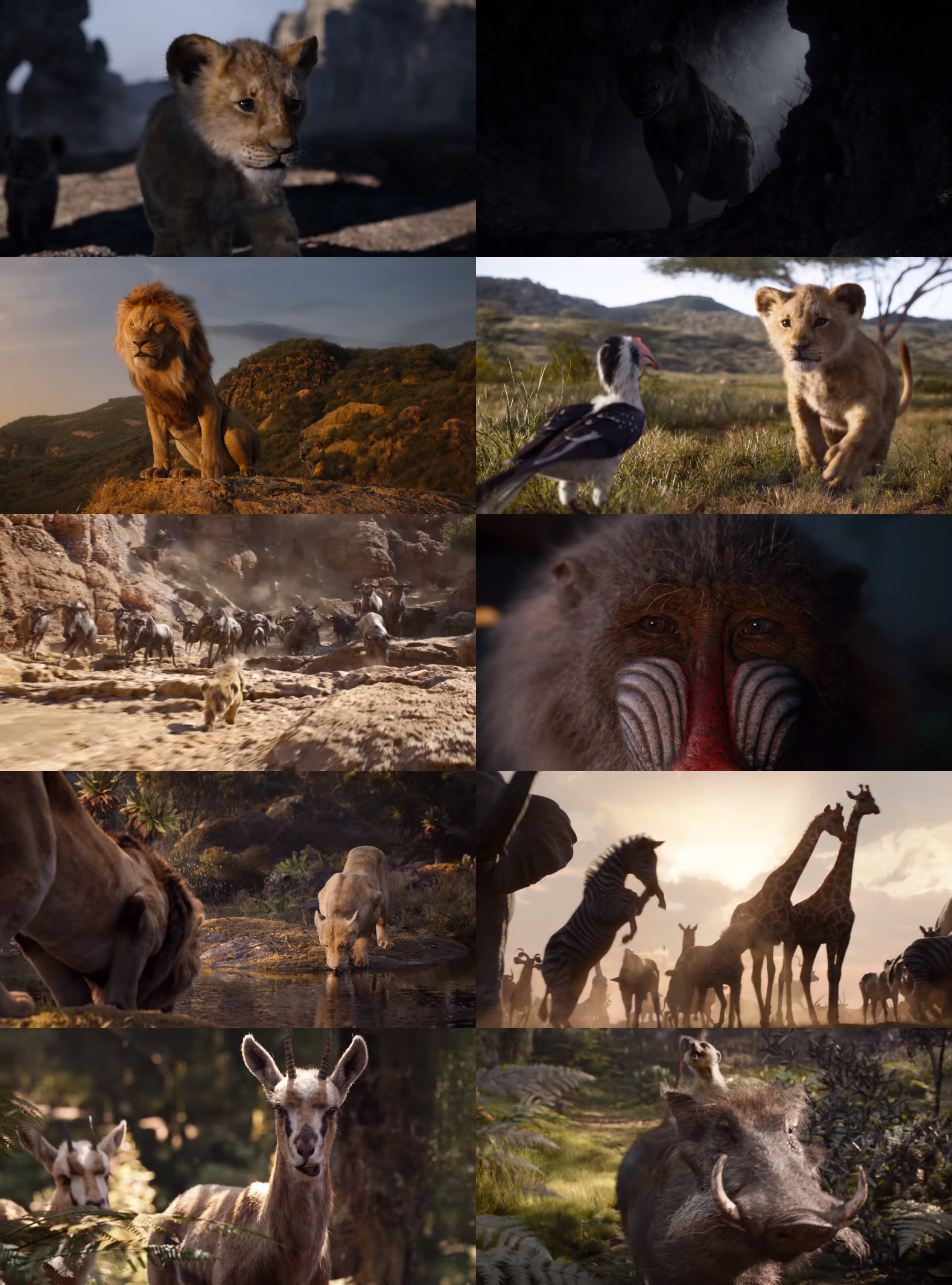 Lion king full movie 2025 2019 123movies