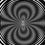 Spider Illusions