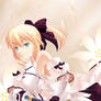 Saber Lily!
