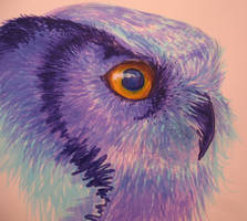 Technicolor Dream Owl