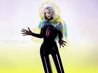 Bjork Vulnicura Cover Art