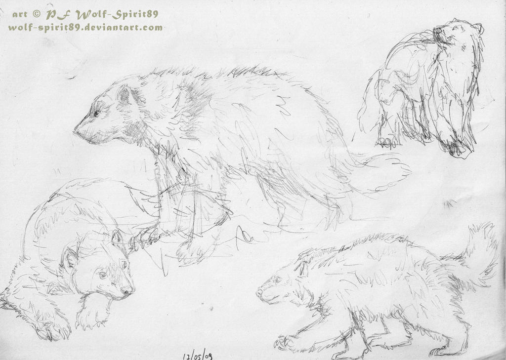 wolverine -animal- sketch by Wolf-Spirit89 on DeviantArt