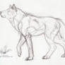 Wolf Spirit Lineart Sketch