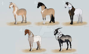 OTA HORSE PACK | closed