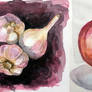 veggies - quick watercolor studies