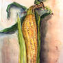 ear of corn