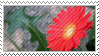 Stamp Flower 234