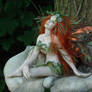 A Forest Faerie