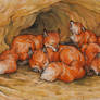 little foxes in their burrow