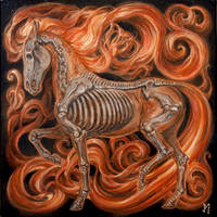 Equus/1