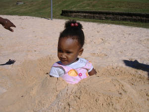 sandbox