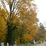 autumn cemetery [6]