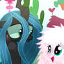 Chrysalis x Fluffle Puff