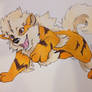 Arcanine