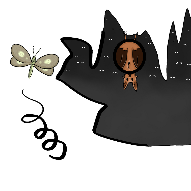 Fat Bat by Happyhedgehog on DeviantArt