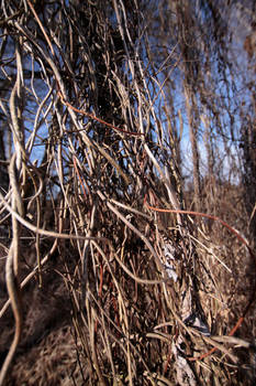 Explore the Best Ropes Art | DeviantArt