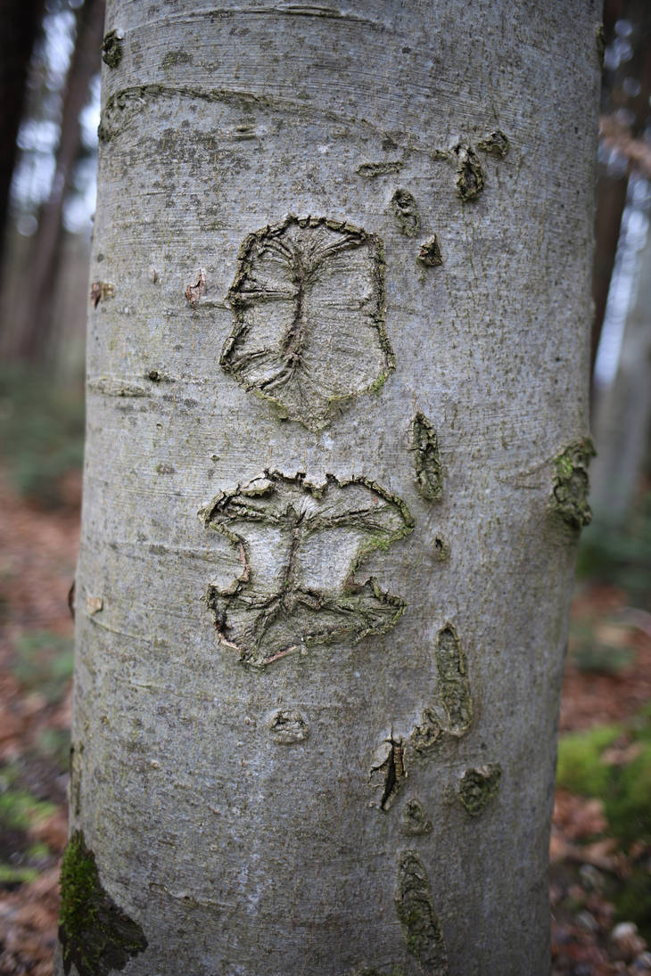 Rune Tree by Redsterfish on DeviantArt