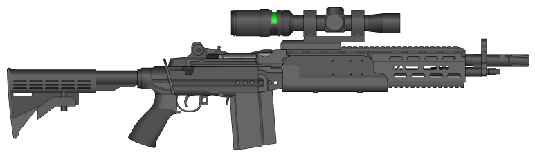 M-14 Scout Rifle