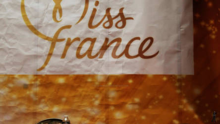 Miss France 11