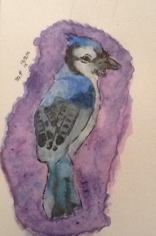 The Blue Jay Blues