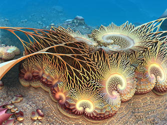 Delicate Coral