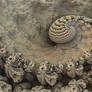 Curling Stone