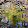 Desktop 21/05/2012