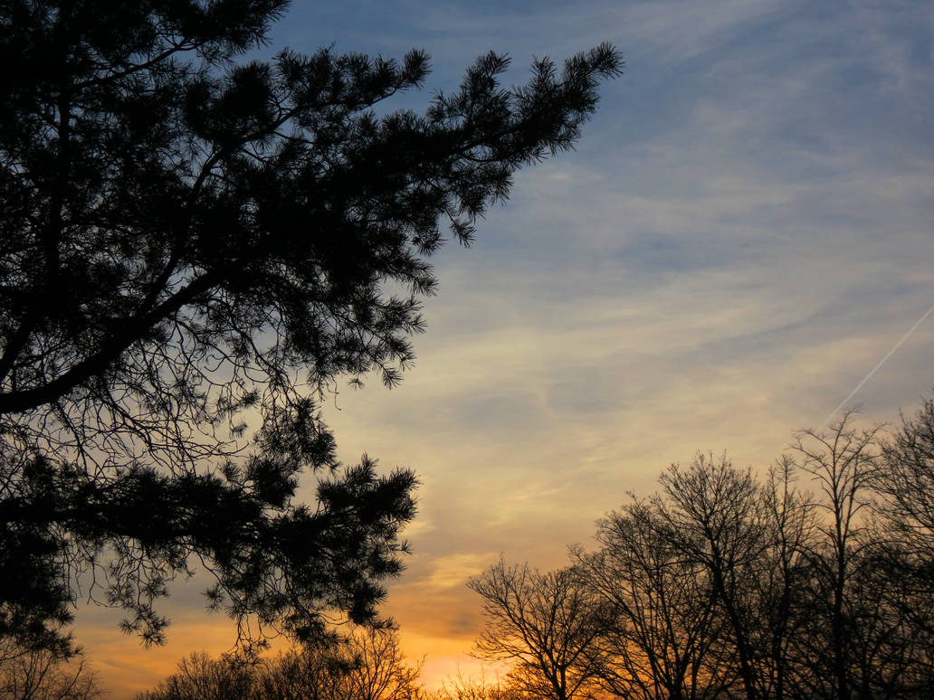 Spring Sunset Drawings Spring Sunset by Alan-Draws on DeviantArt
