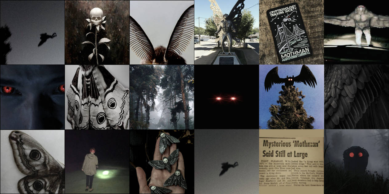 tumblr_34585d4adb242897b86fe4fb53f7644f_