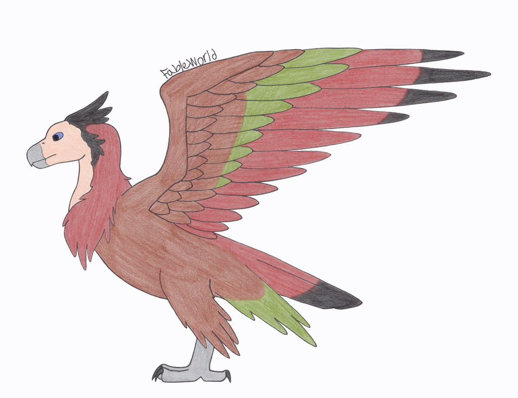 Turul Rajz Turul by FableWorld on DeviantArt