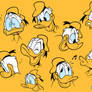 my favorit duck