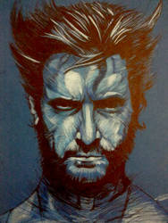 Wolverine