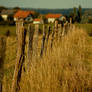 Houses in the country