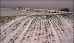 Snowy fields by LiveInPix