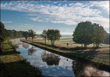 Misty morning