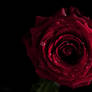 red Kiss