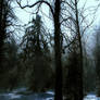 lost