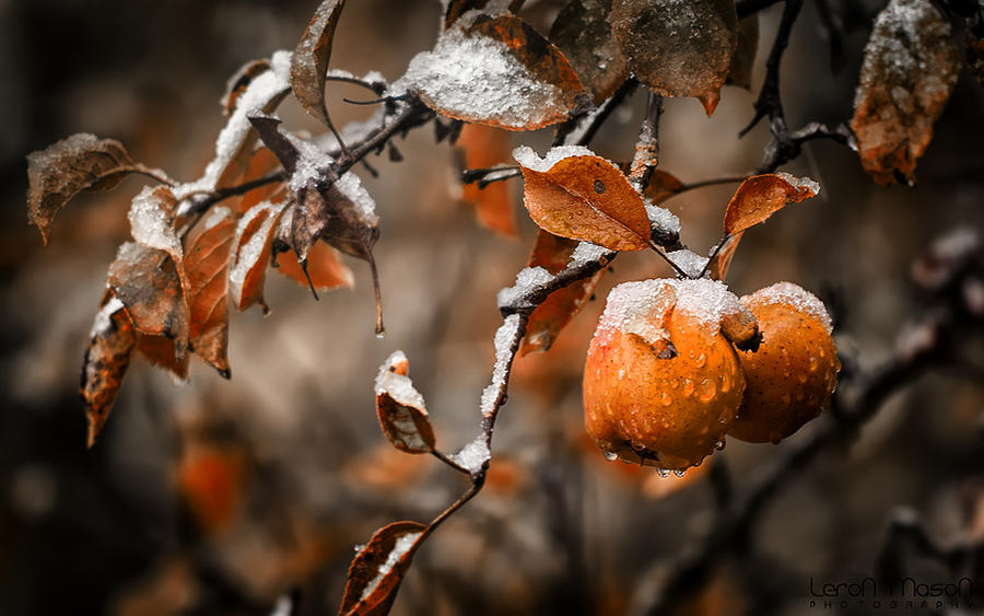 winter is coming